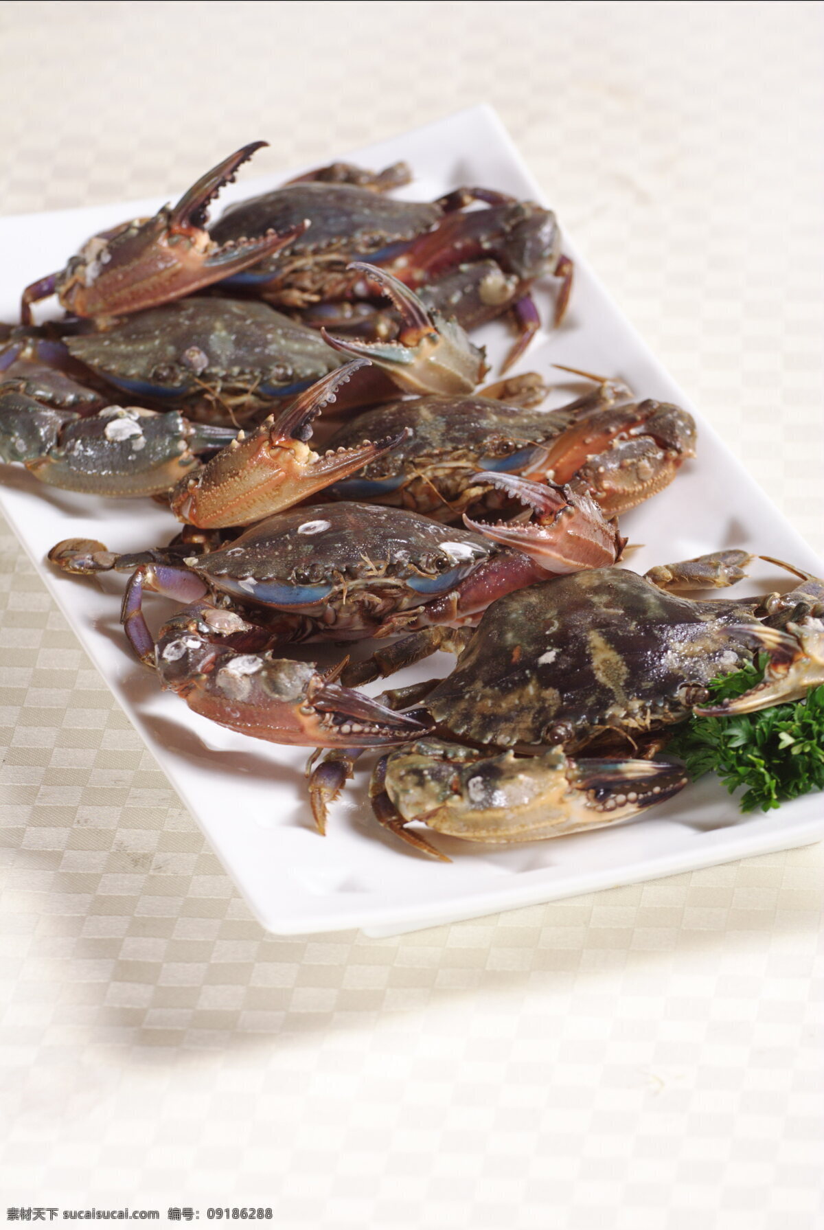 螃蟹 火锅 海鲜锅 海鲜火锅 海蟹 鲜美 新鲜 食材 海产品 海洋生物 节肢动物 食物原料 餐饮美食