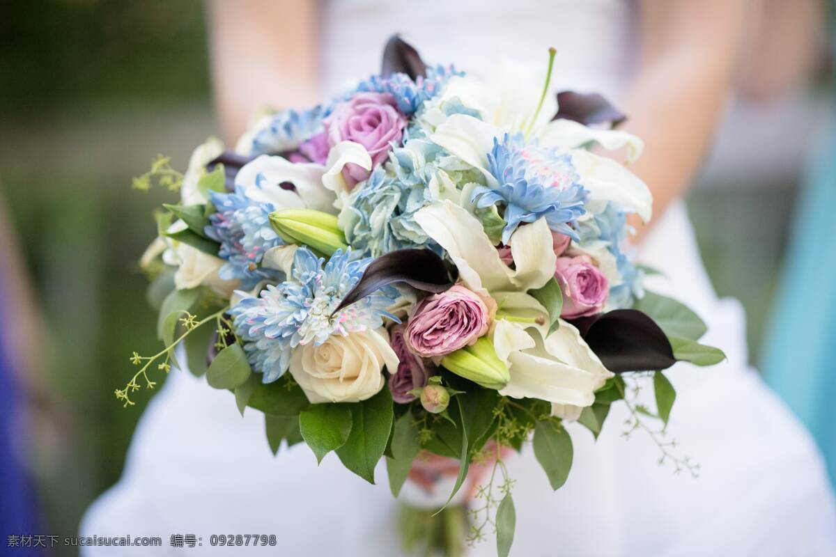 婚纱花朵 花朵 花束 花蕊 鲜花图片 绿叶 花瓣 牡丹花 玫瑰花 月季花 海报类单页类 生物世界 花草
