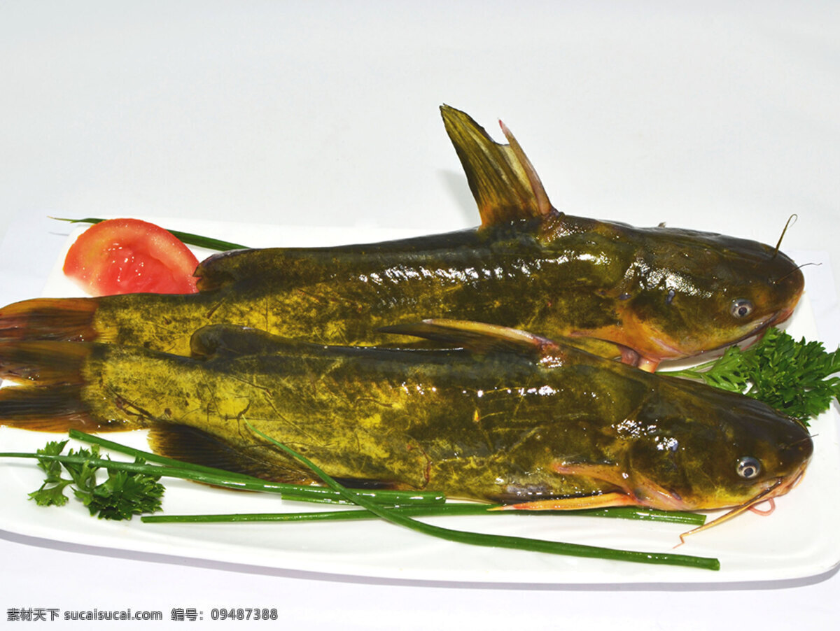 黄骨鱼 黄蜂鱼 黄辣丁 嘎牙子 美味 传统美食 餐饮美食 食物原料