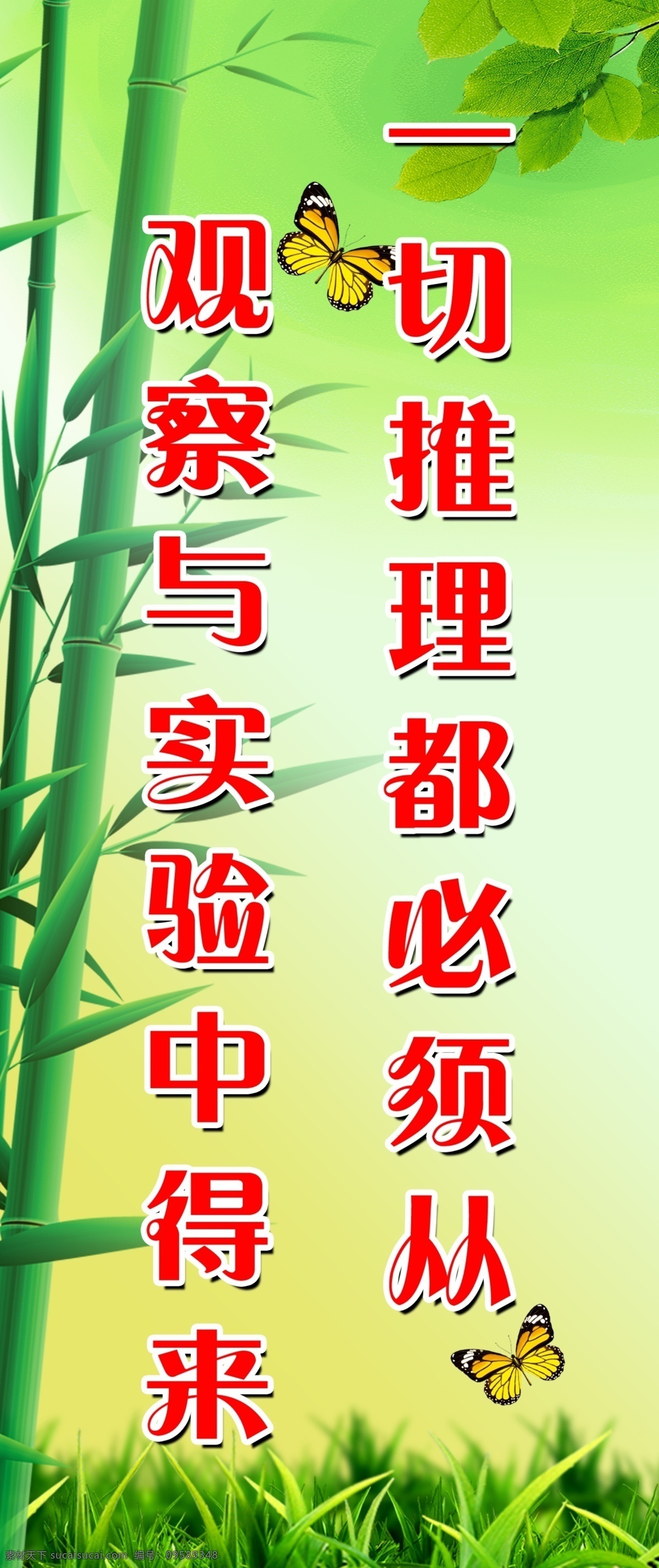 化学标语 标语 化学标语口号 推理 化学 实验室 化学教室标语 实验标语 实验室标语 学校标语 学校 标语模板 化学标语模板 竹子 蝴蝶 竖标语 展板模板 广告设计模板 源文件