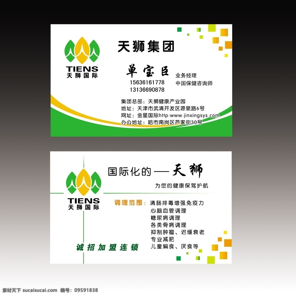 天狮名片 名片设计 名片 个性名片 销售名片 名片卡片 广告设计模板 源文件