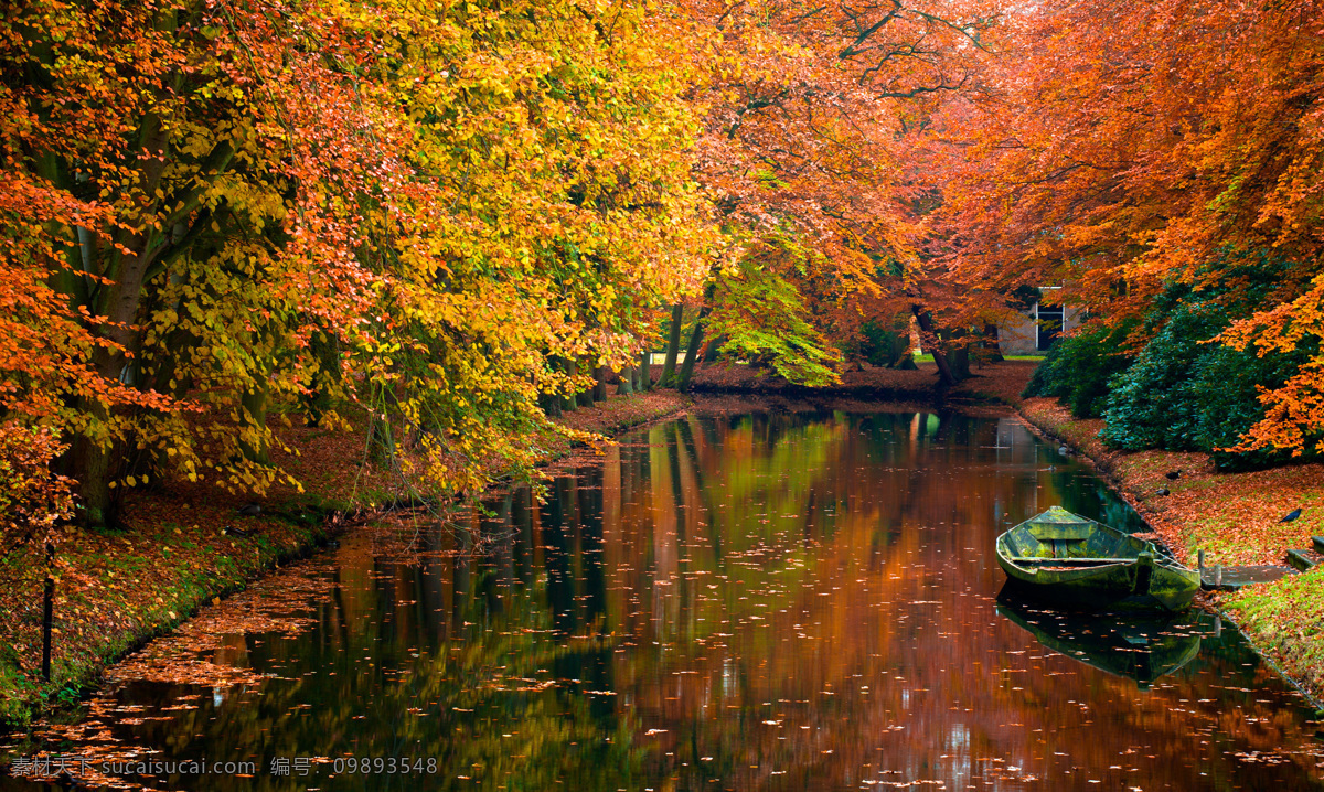 秋天 河流 枫叶 枫树林 落叶 黄叶 叶子 树叶 树林 船 美景 风景 山水风景 风景图片