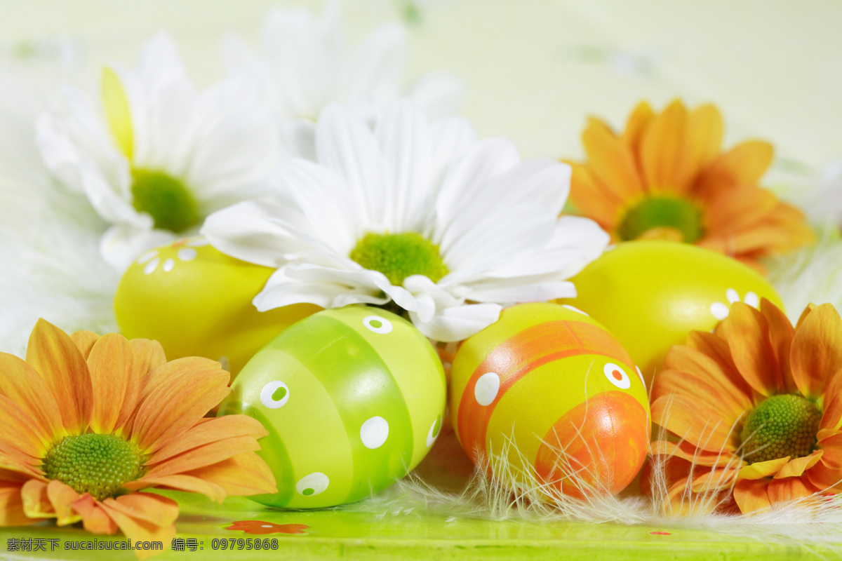 彩蛋 鲜花 复活节 复活节礼物 花朵 花卉 花草树木 生物世界