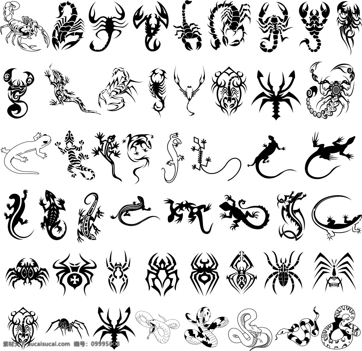 蝎子 壁虎 蜘蛛 蛇 冷血动物 恐怖 纹身 酷炫 霸气 矢量 矢量动物 其他生物 生物世界
