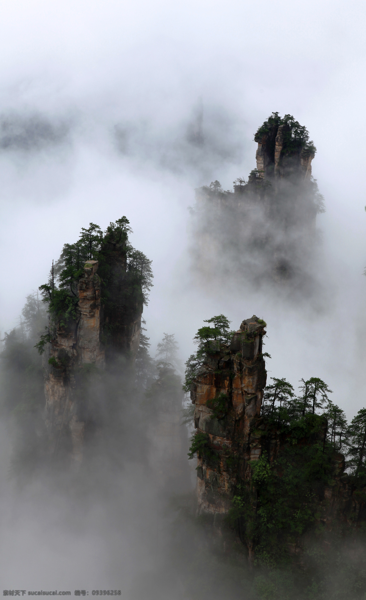 天子山云雾 天子山 张家界 烟雨 雾 张家界风光 自然风景 自然景观