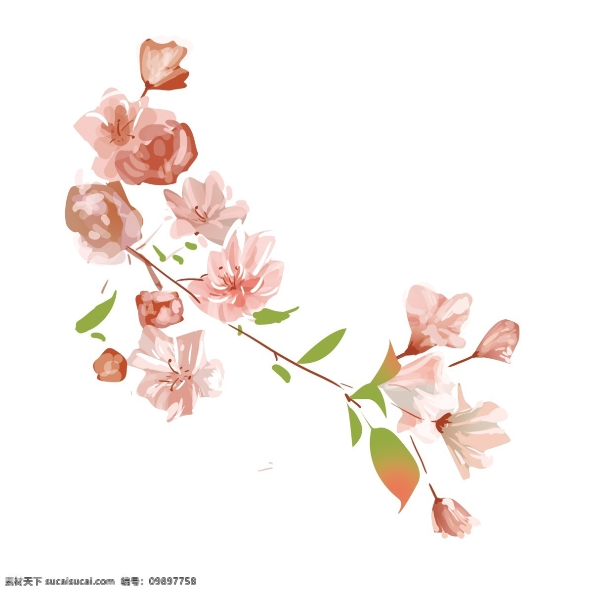 可爱 水彩 花卉 卡通 透明 卡通素材 鲜花 png免抠图 透明素材 花卉装饰