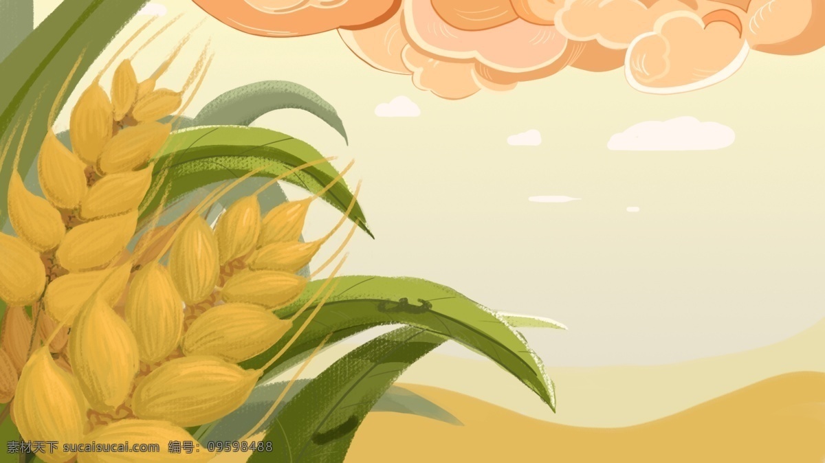 卡通 手绘 小满 节气 小麦 插画 背景 插画背景 小满节气 广告背景 背景素材 通用背景 黄色背景