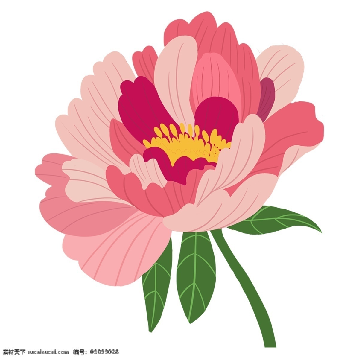粉色 水彩 花卉 透明 装饰 鲜花 png免抠图 透明素材 免 抠 图