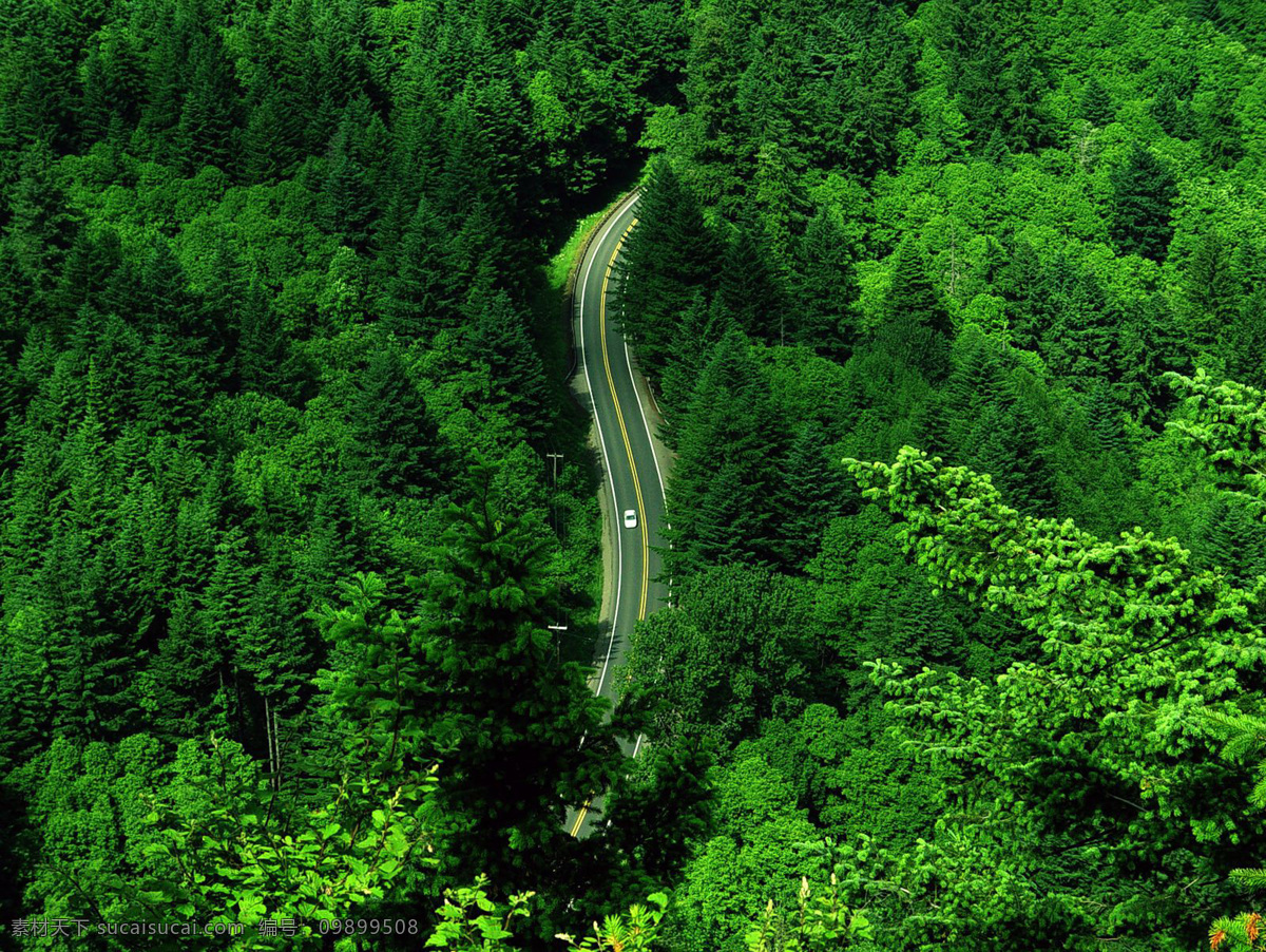 绿色山林 山路 公路 绿色 森林 树林 山水风景 自然景观