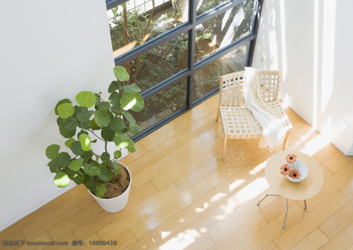 阳光 盆景 椅子 家居 家居生活 时尚 安静 恬淡 唯美 清新 靠椅 小圆桌 鲜花 室内设计 环境家居