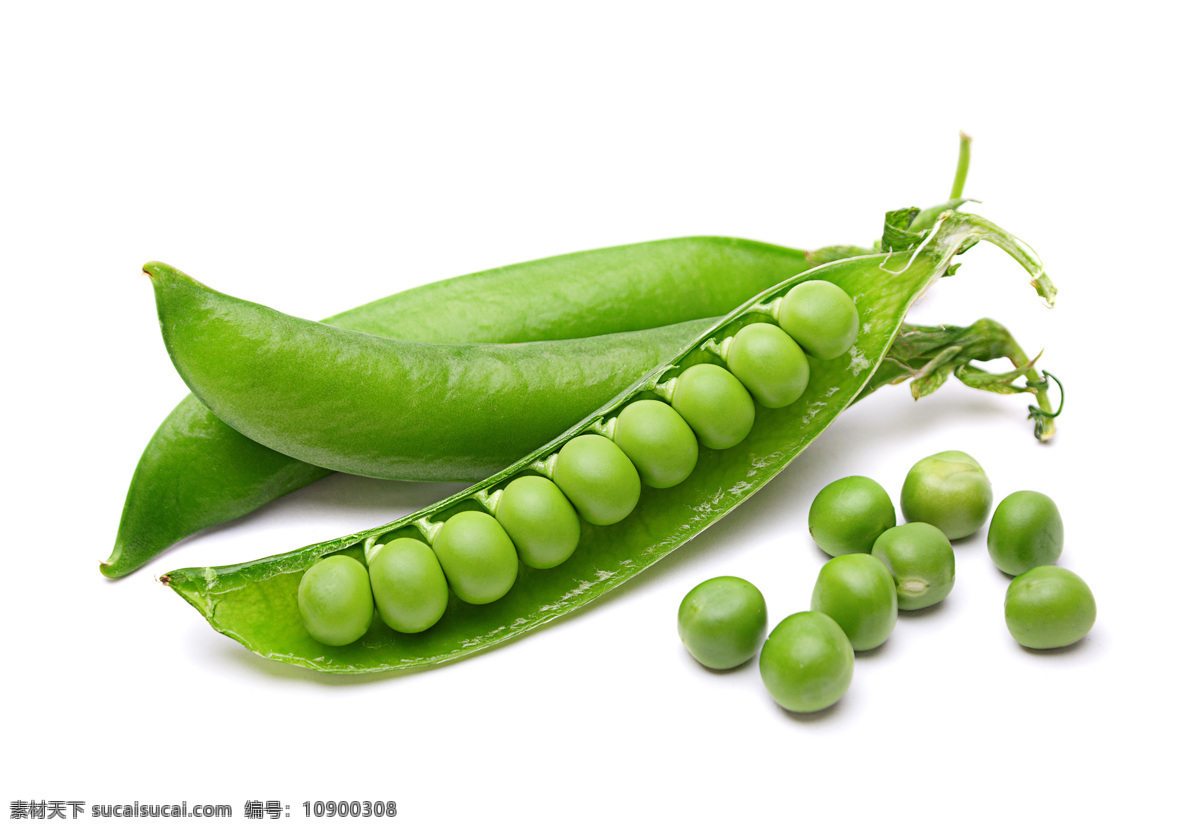 豆子 青豆 豆角 绿豆角 原生态 美食 绿色 食物 蔬菜 豌豆荚 农场 餐饮美食 餐饮食材图片
