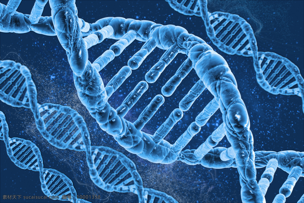 dna 遗传 基因 医疗 医学 科学 遗传学 人类基因 科技 遗传基因 生物学 生物科学 显微世界 基因组合 基因排列 微观 dna基因 科学研究 现代科技