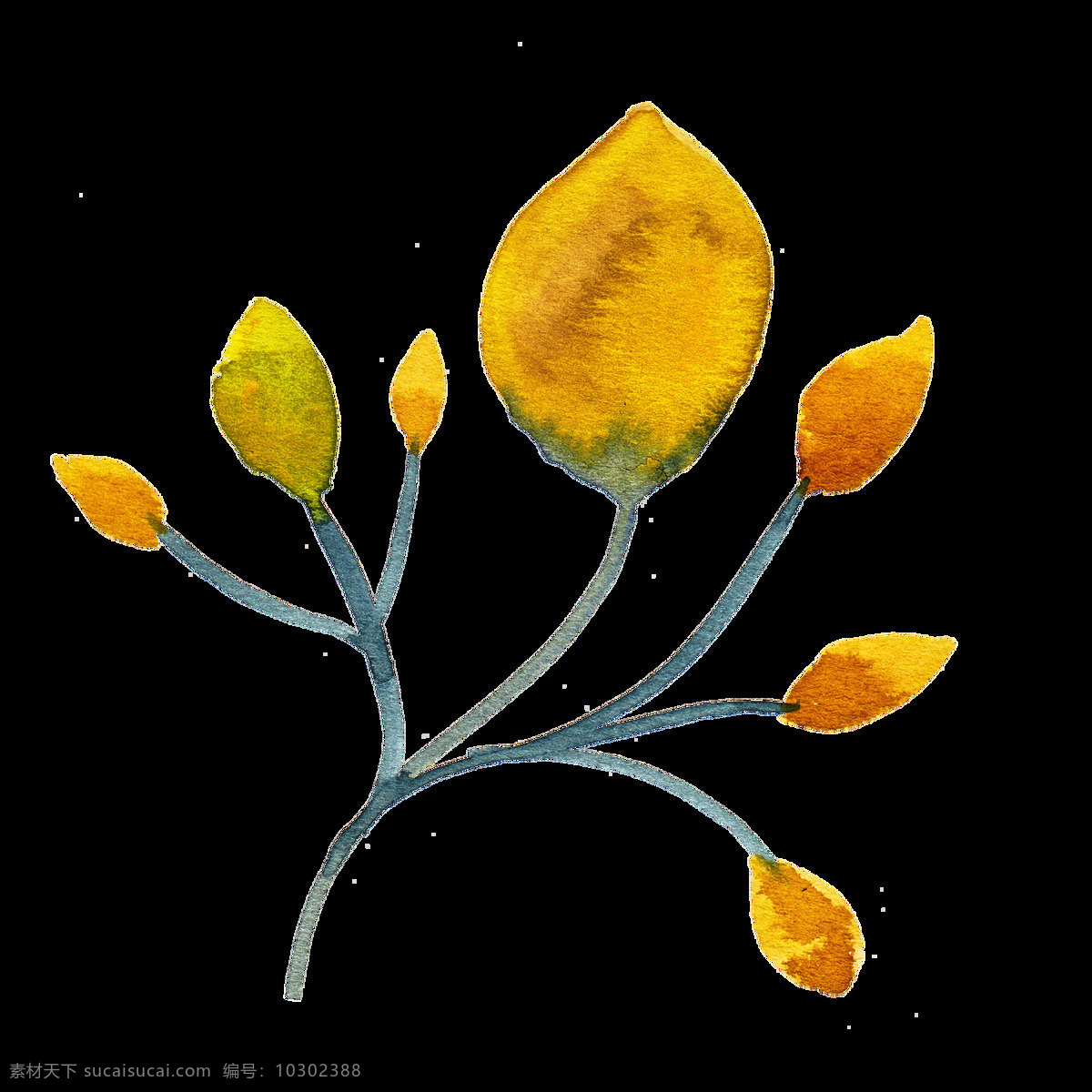 黄色 秋天 树叶 卡通 水彩 透明 抠图专用 装饰 设计素材