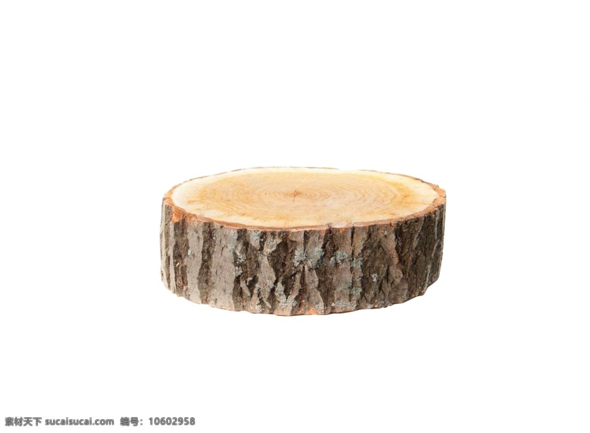一块 大树 木桩 年轮 砍伐 环境 时间 树 死亡