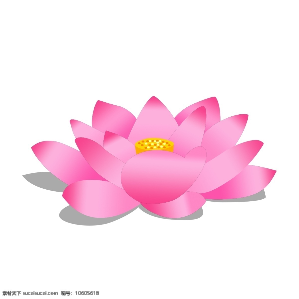 清新 粉色 荷花 装饰 元素 装饰元素 手绘 植物 盛开 花蕊 花朵 花瓣