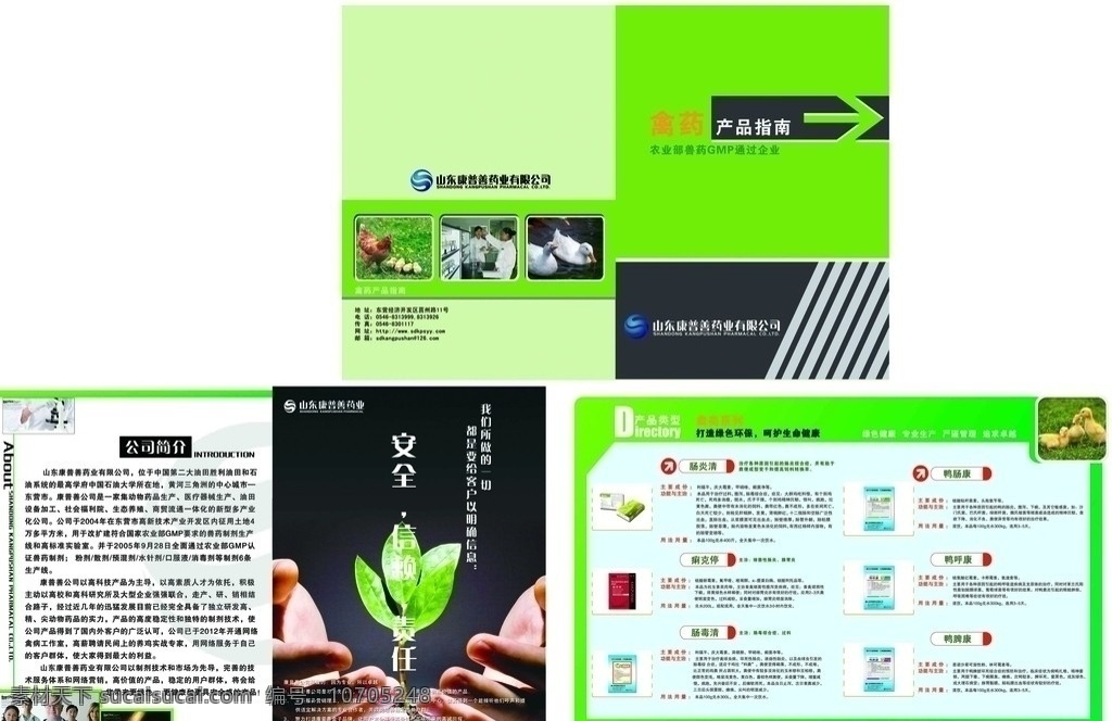 禽药宣传册 禽药 鸡 鸭 医疗 箭头 公司简介 画册设计 广告设计模板 源文件