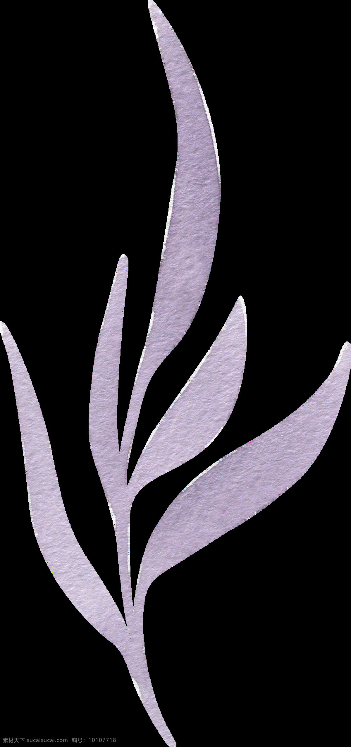灿 紫花 束 卡通 水彩 透明 花叶 枝叶 透明素材 免扣素材 装饰图案