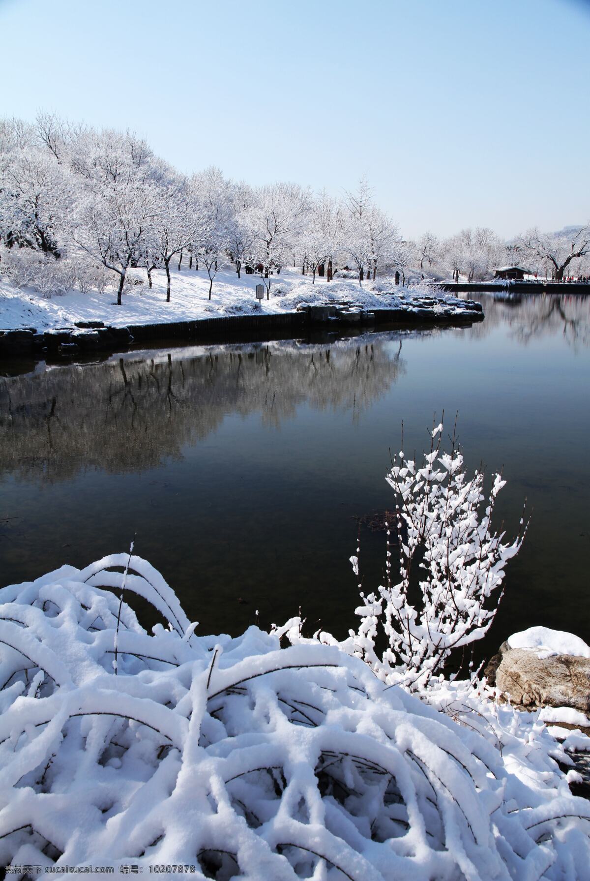 北京植物园 雪景