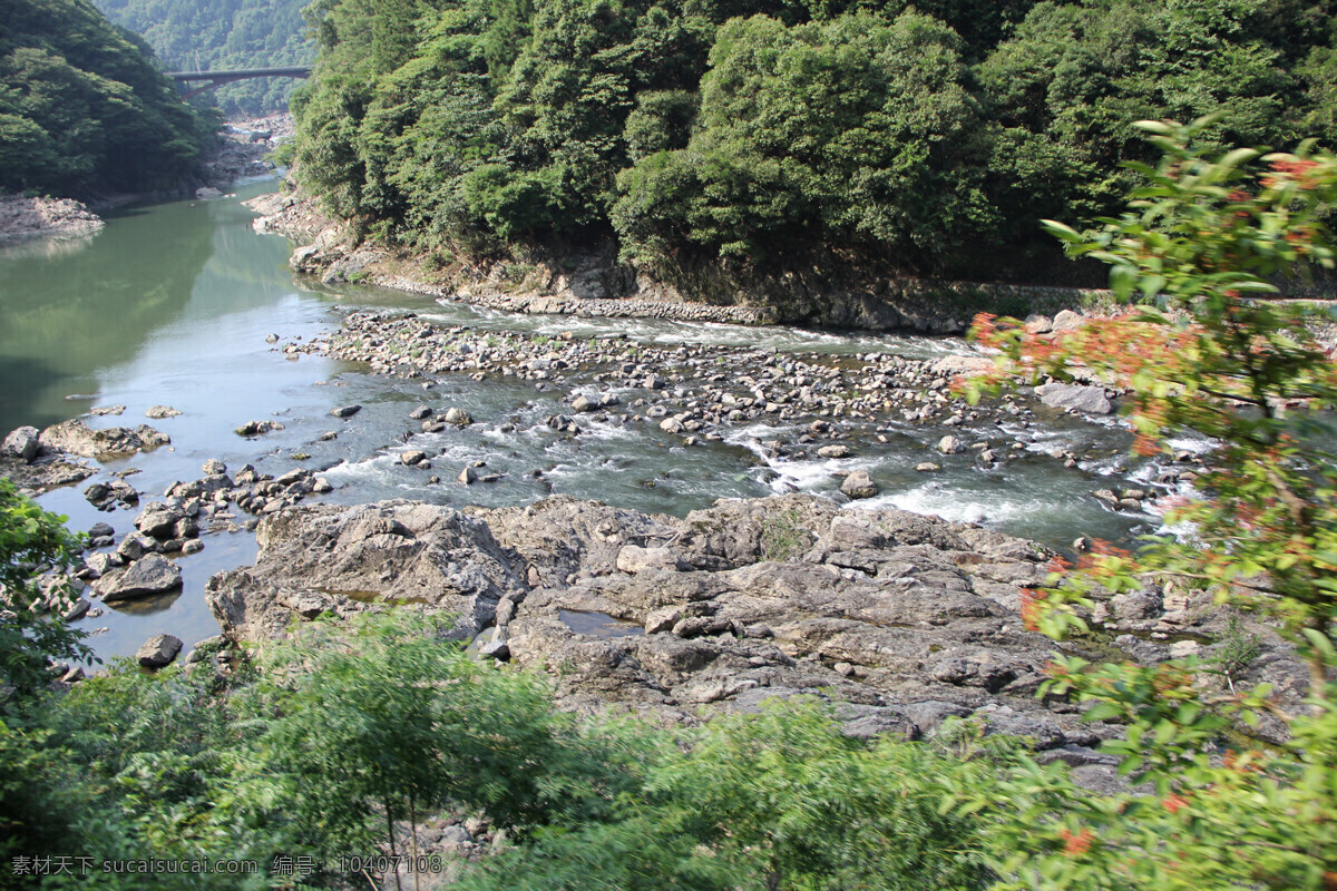 日本 小溪 河流 原创摄影 风光 自然 山水 山间 植物 旅行 旅游摄影 自然风景