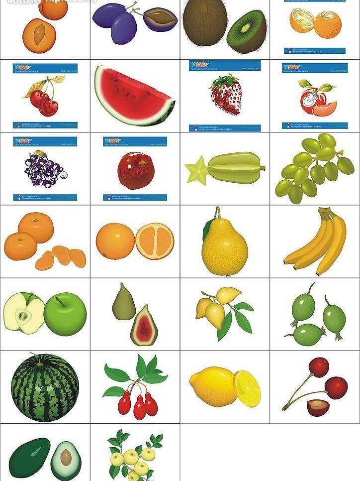 生物世界 矢量图库 水果 好看 可以 吃 矢量 模板下载 好吃的水果 日常生活