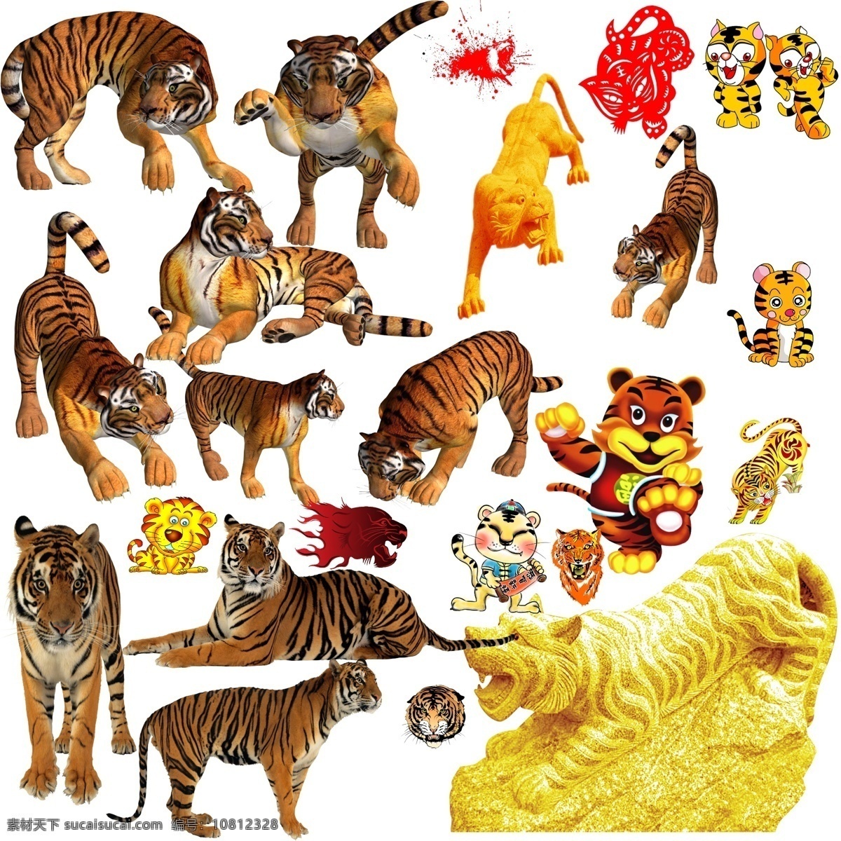 各种虎类素材图片下载-素材编号10812328-素材天下图库