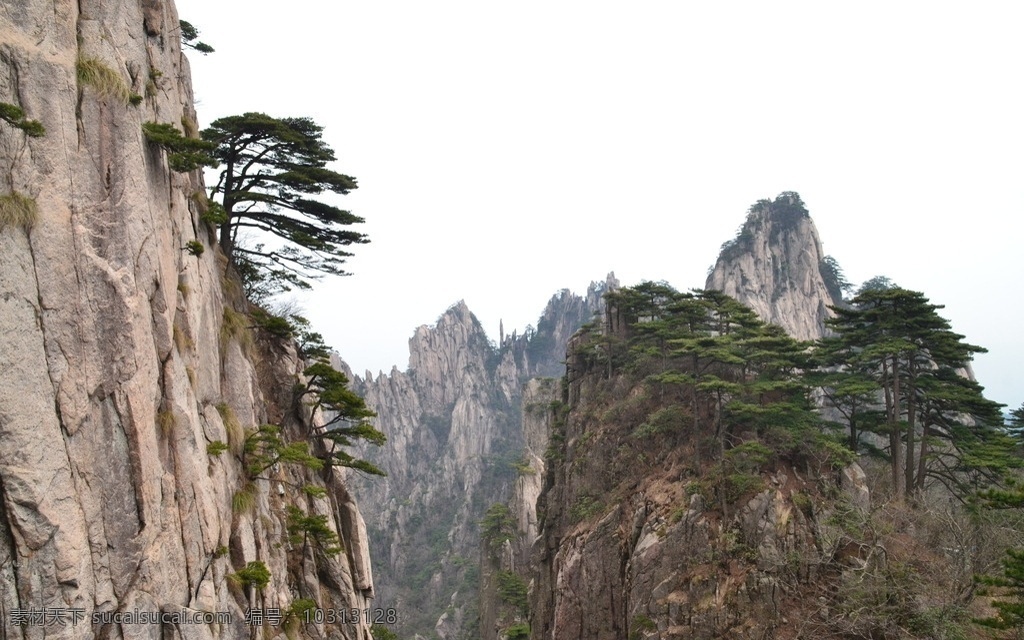 黄山风光 黄山旅游 黄山美景 旅游 云海 松树 高山 风景名胜 自然景观 安徽黄山 黄山秋色 黄山 安徽旅游景点 黄山景色 黄山山峰 山峰