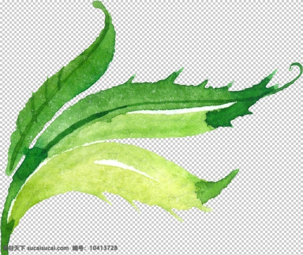 水彩 手绘 花卉 花朵 植物 手绘植物叶子 绿叶 叶子 叶脉 枝叶 绿色 矢量素材 自然 草本植物 矢量树叶 树叶 茶叶 自然景物 绿叶子 纹理 绿树叶 绿色叶子 手绘水彩画 手绘花朵 手绘叶子 手绘水墨植物