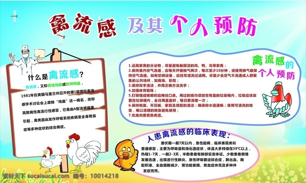 禽流感 个人 预防 宣传栏 宣传展板 健康 卫生 流行病