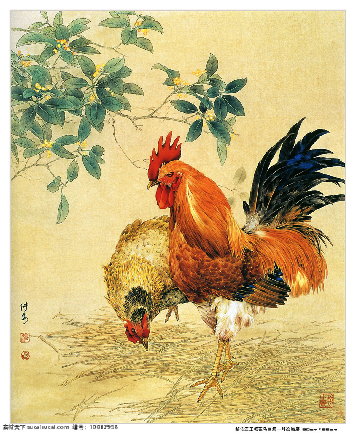 邹 传 安 工笔 花鸟 画集 耳鬓厮磨 公鸡 桂花 母鸡 文化艺术 绘画书法 设计图库