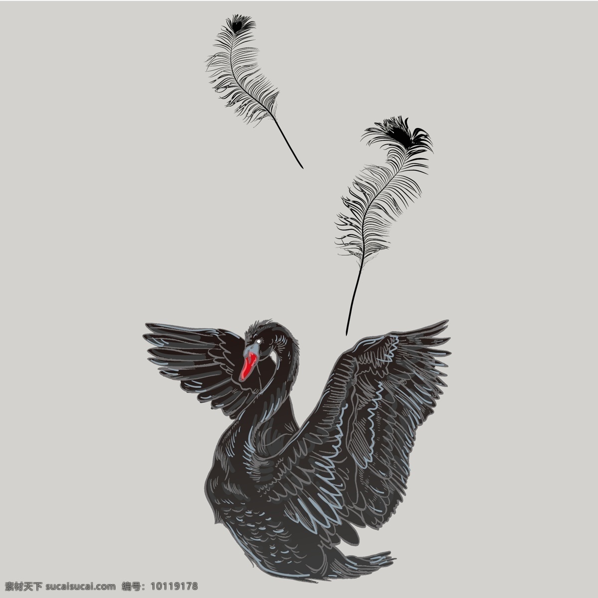 黑天鹅 趣味卡通 卡通壁纸 装饰画 插画素材 动物 动漫 鸟类 天鹅 天鹅素材 羽毛 鹅 印花 服装设计
