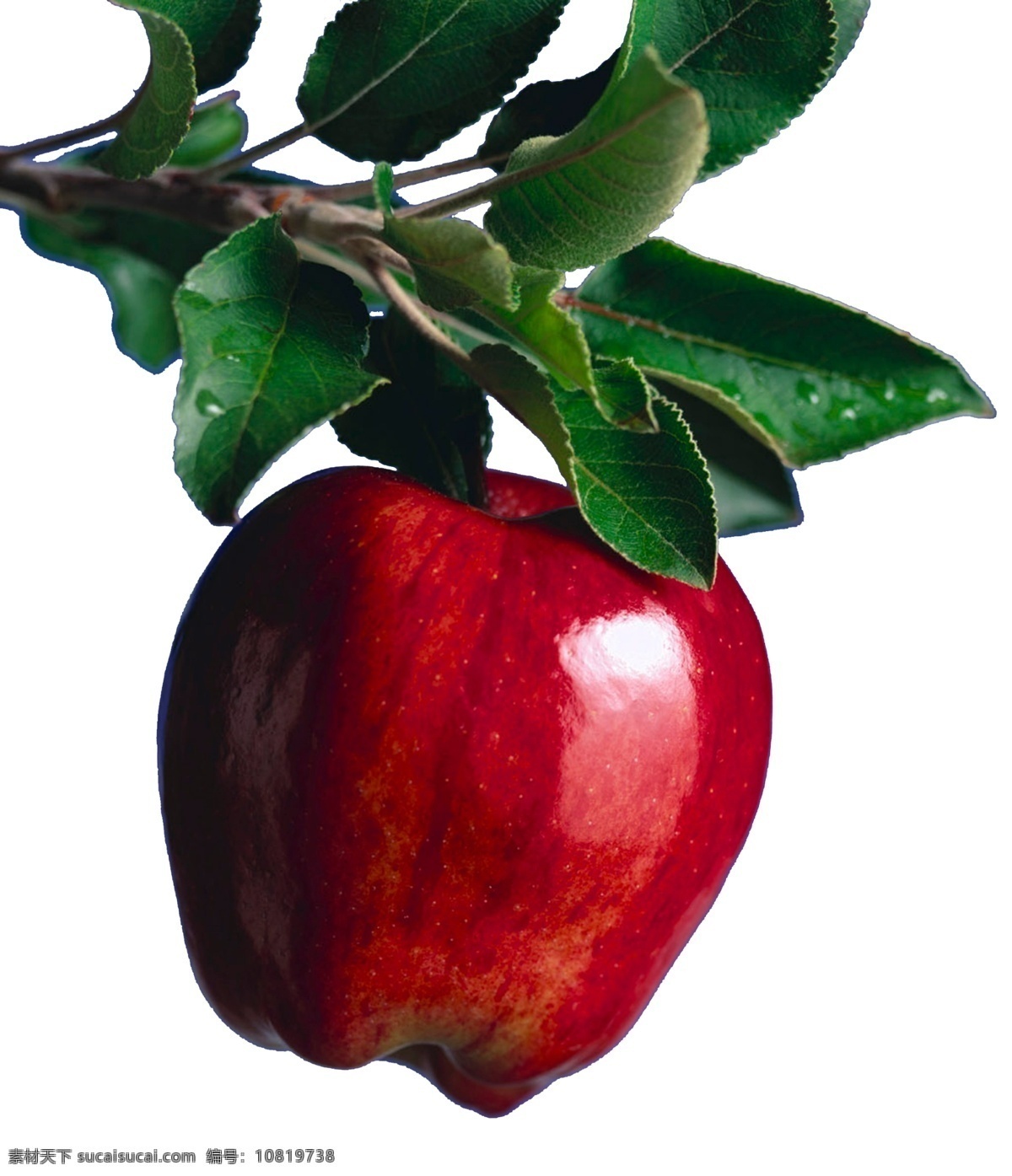 红蛇果 红苹果 美国红蛇果 蛇果 美国苹果 水果 进口水果 水果干果 分层 源文件