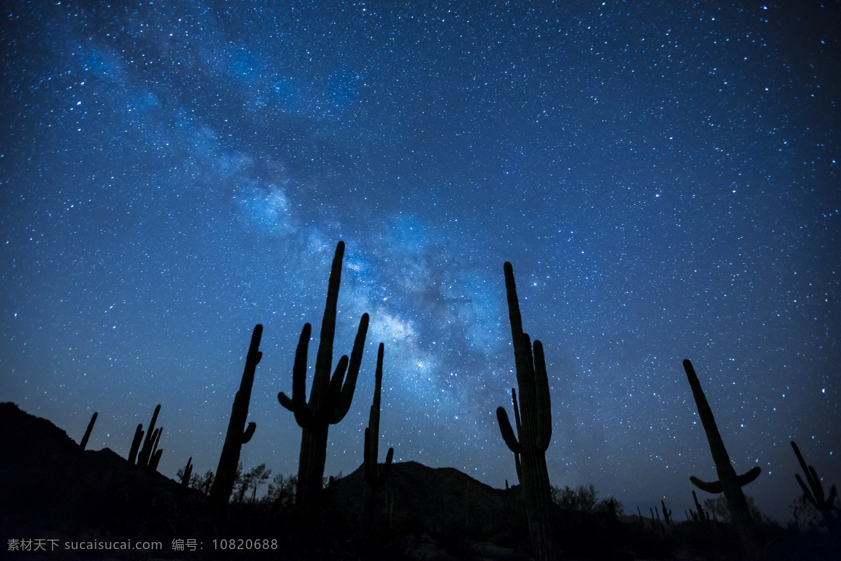 仙人掌银河 银河 星星 夜 天空 景观 沙漠 仙人掌 景区 空间