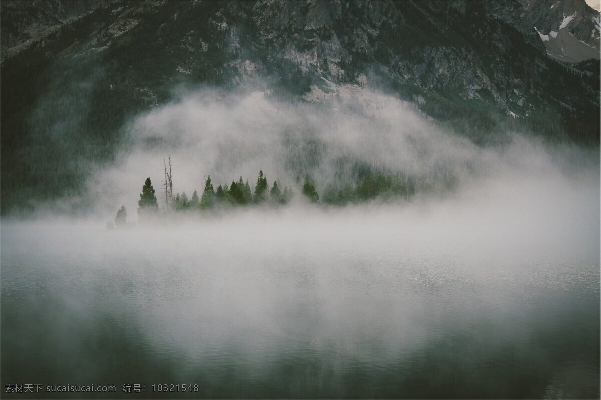 迷雾中的森林 森林 树木 绿色 雾 朦胧 白色 青山 背景 自然景观 自然风景