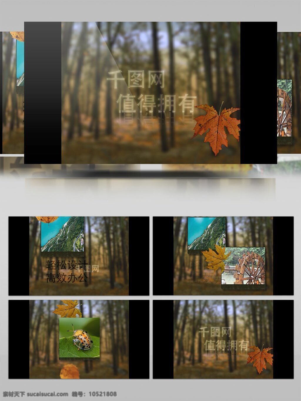 冬季 落叶 图文 展示 模板 图文展示 宣传 ae模板 aep 秋天气息