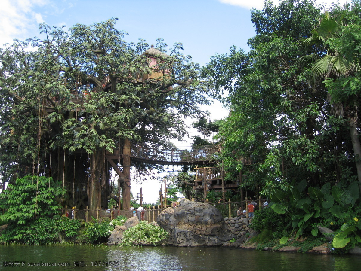 迪士尼 热带 森林 湖水 蓝天 旅游 绿色 冒险 热带植物 树木 香港 植物 热带森林 吊桥 树顶小屋 游客