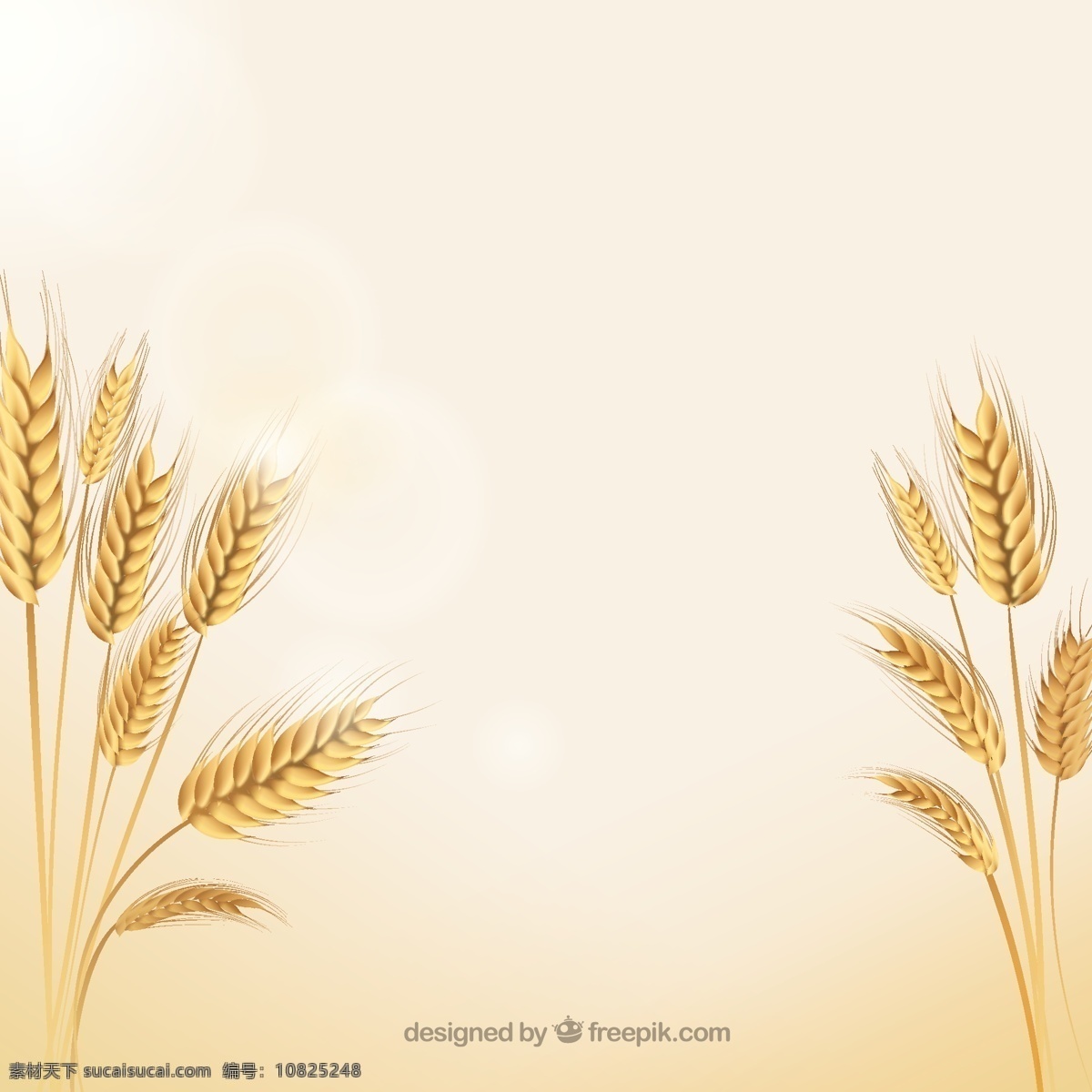自然麦穗 黄金 自然 小麦 天然 植物 谷物 耳朵 图标 高清 源文件
