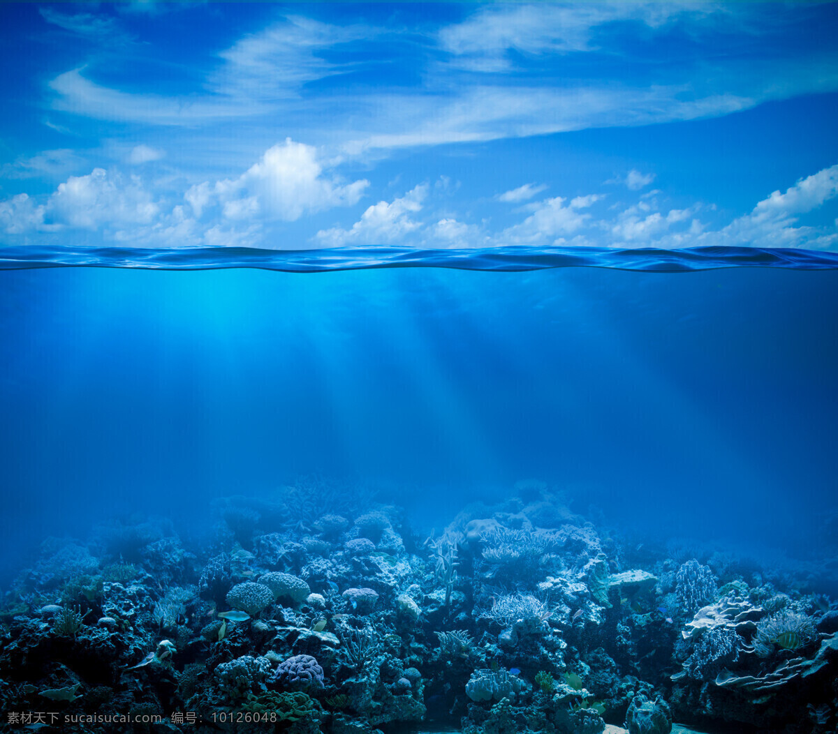 阳光 照耀 下 海底 世界 蓝天 白云 海水 大海 珊瑚 海洋生物 大海图片 风景图片