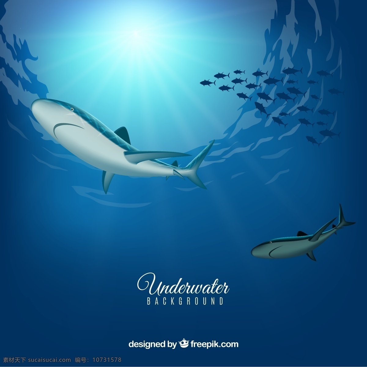 创意 海底 鱼群 鲨鱼 大海 阳光 鱼 海洋 文化艺术 节日庆祝