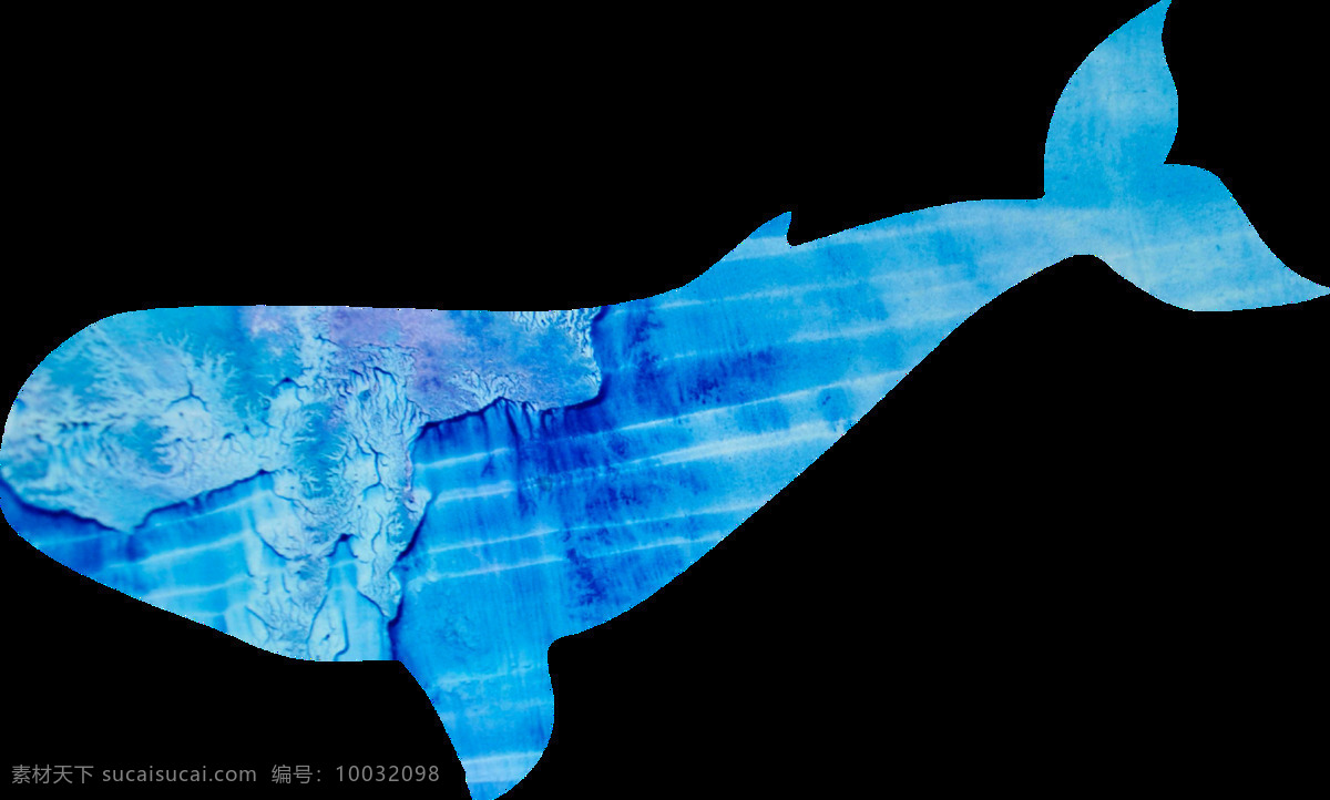 水彩 卡通 鲸鱼 透明 抠图专用 装饰 设计素材