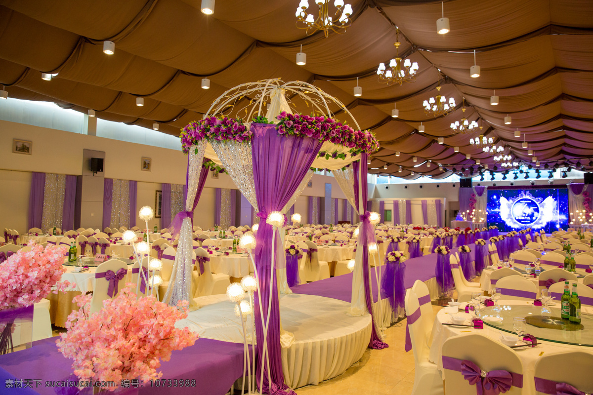 婚宴 布场 紫色 婚庆 宴席 酒店 文化艺术 节日庆祝