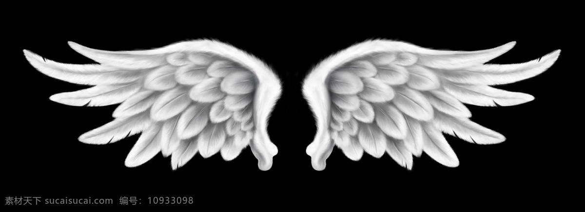 可怕 白色 翅膀 组 创意 高分辨率 接口 免费 清洁 用户界面 时尚的 现代的 独特的 原始的 新的 hd 元素 ui元素 详细的 羽毛 集 白色的翅膀 设置的翅膀 杂项 矢量图