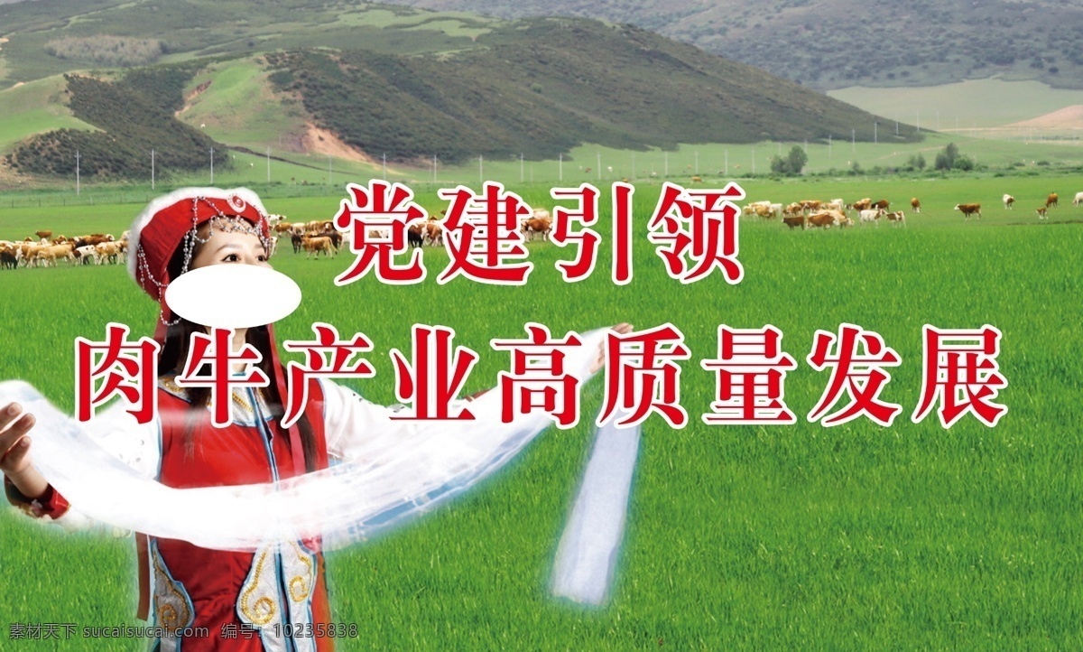 党建 引领 肉牛 产业 肉牛产业 哈达 蒙古姑娘 献哈达