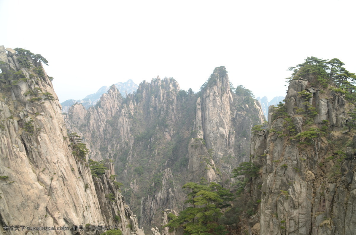 黄山风光 黄山旅游 黄山美景 旅游 云海 松树 高山 风景名胜 自然景观 安徽黄山 黄山秋色 黄山 安徽旅游景点 黄山景色 黄山山峰 山峰