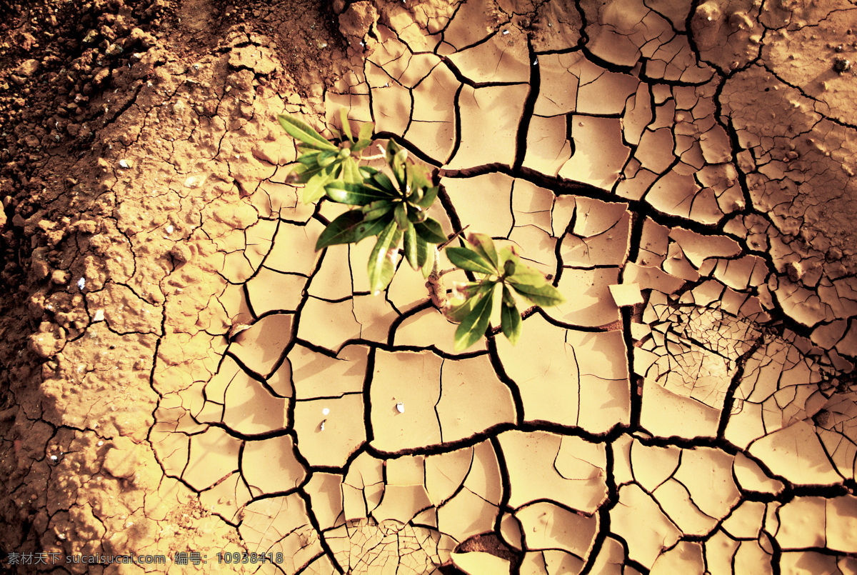 干涸 地面 干旱 旱灾 干枯的土地 干涸的地面 裂缝 裂纹 其他风光 风景图片