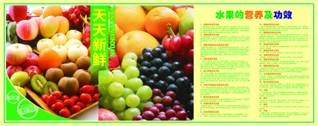 天天 新鲜 x4 功效 水果 水果图片 营养 文字未转曲 矢量图 日常生活