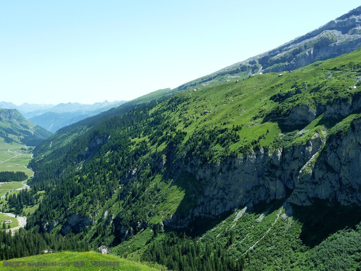 瑞士 山 树 绿色 天空 夏季 阳光 绿色风景 高山 自然景观 自然风景