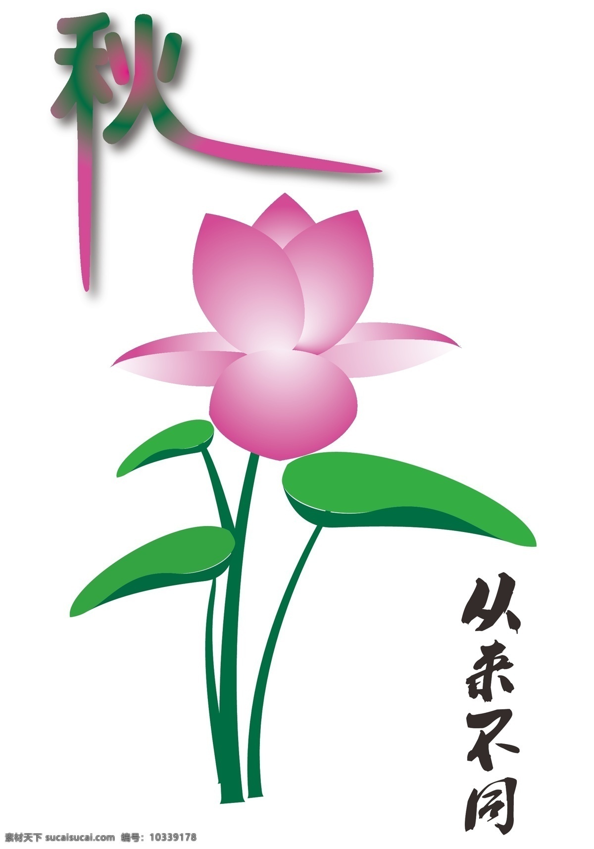 池塘 荷花 矢量图 花 荷叶 秋天 秋意 白色