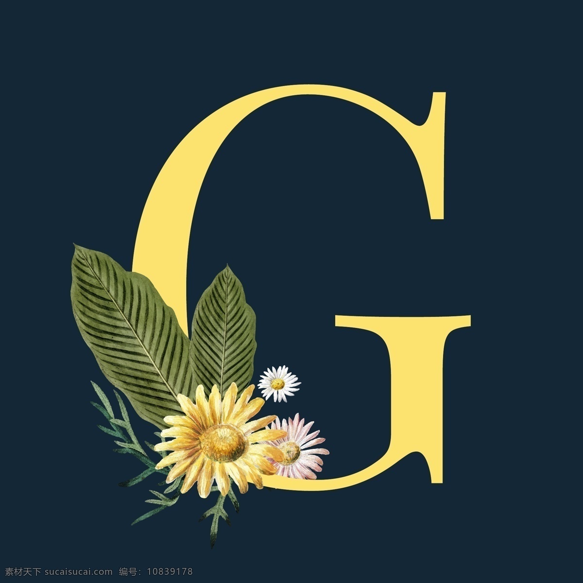 字母与花朵 字母 艺术品 美丽 盛开 开花 书法 养殖 雏菊 装饰 植物群 花 新鲜 金 金色 手绘 图标 花背景