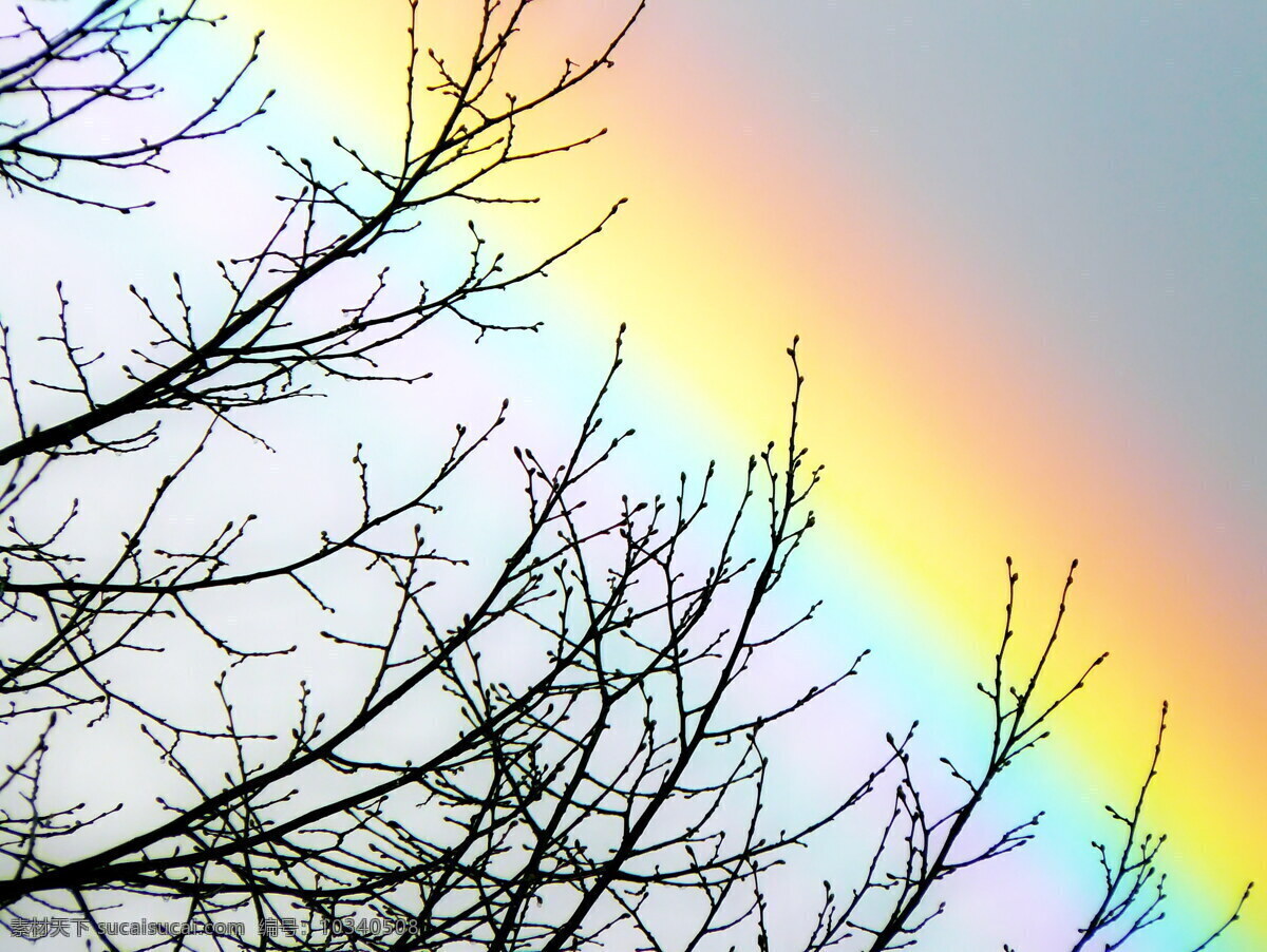 唯美 彩虹 风景 高清 天虹 虹 七色光 拱形 七彩光谱