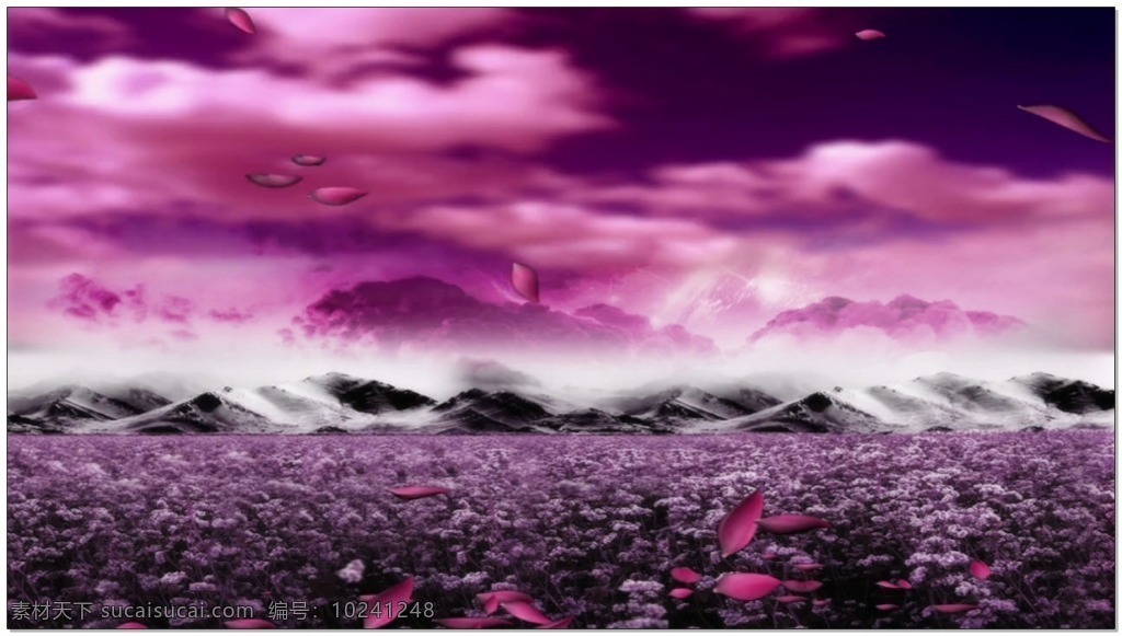 紫色 云朵 风景 背景 高清视频素材 视频素材 动态视频素材 天空